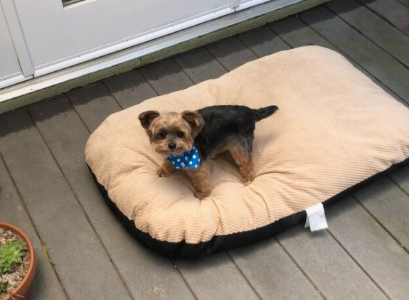 Milo