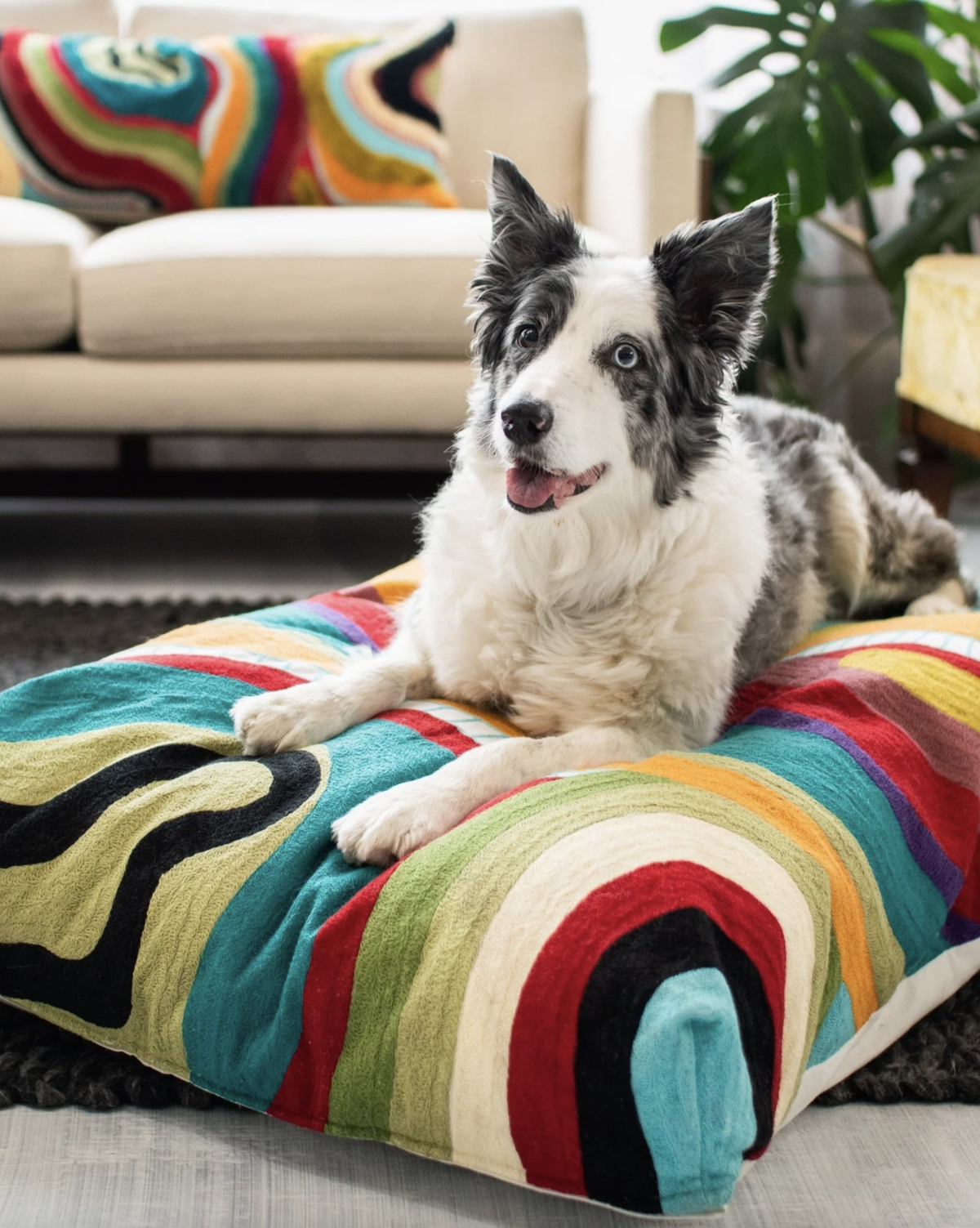 Yaya &amp; Co. Echo Abstract Organic Cotton Dog Bed