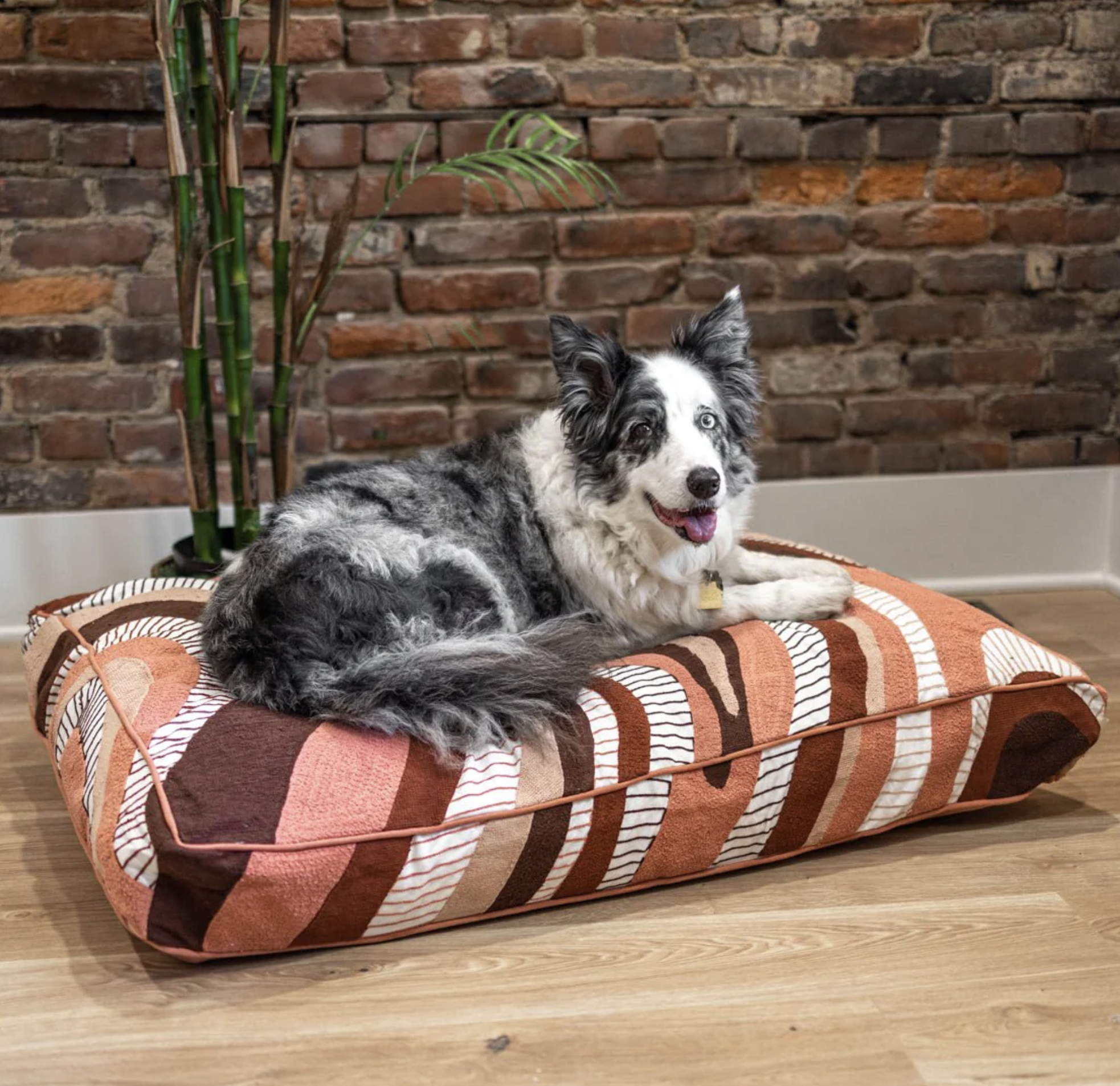 Yaya & Co. Piper Organic Cotton Dog Bed