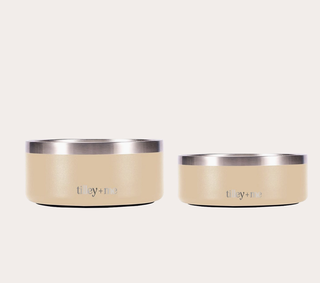 Tilley + Me Stainless Steel Pet Food + Water Bowl