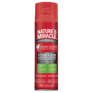 Nature's Miracle Foam Stain & Odor Remover 17.5fl oz