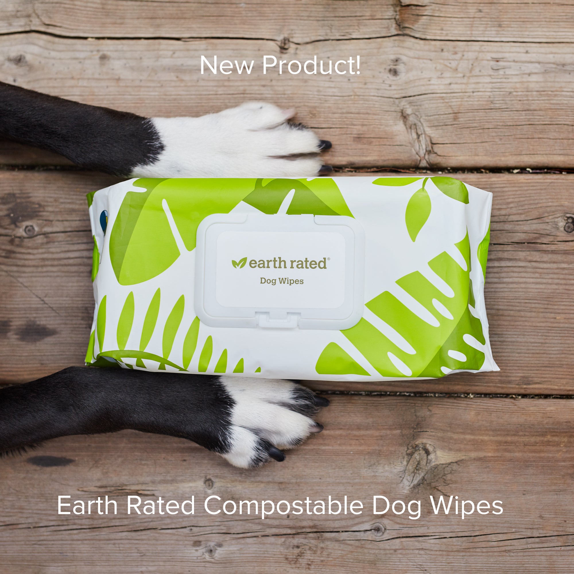 Earth Rated Certified Compostable Wipes Lavender 100 Count